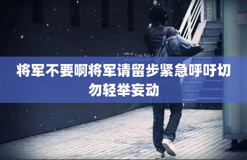 将军不要啊将军请留步紧急呼吁切勿轻举妄动