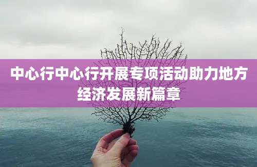 中心行中心行开展专项活动助力地方经济发展新篇章
