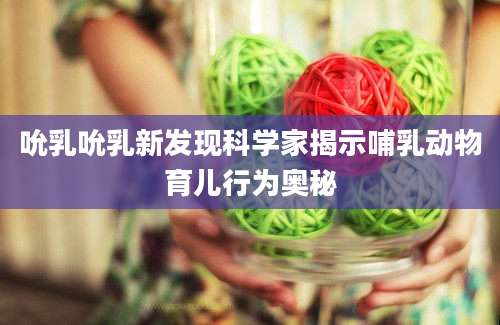 吮乳吮乳新发现科学家揭示哺乳动物育儿行为奥秘