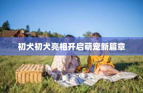 初犬初犬亮相开启萌宠新篇章