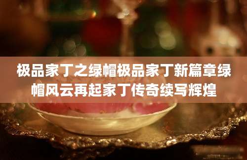 极品家丁之绿帽极品家丁新篇章绿帽风云再起家丁传奇续写辉煌