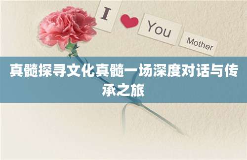 真髓探寻文化真髓一场深度对话与传承之旅