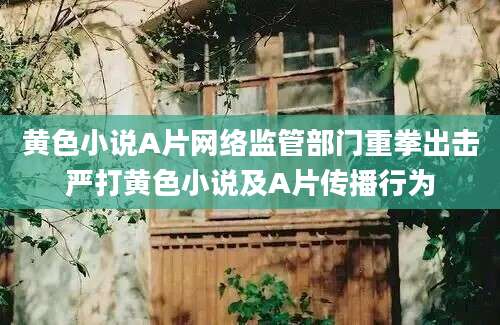 黄色小说A片网络监管部门重拳出击严打黄色小说及A片传播行为