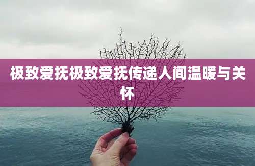 极致爱抚极致爱抚传递人间温暖与关怀