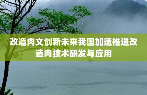 改造肉文创新未来我国加速推进改造肉技术研发与应用
