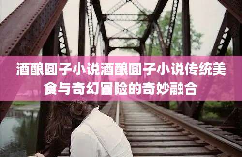 酒酿圆子小说酒酿圆子小说传统美食与奇幻冒险的奇妙融合