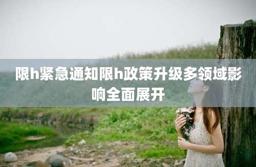 限h紧急通知限h政策升级多领域影响全面展开