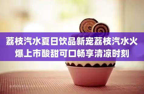 荔枝汽水夏日饮品新宠荔枝汽水火爆上市酸甜可口畅享清凉时刻