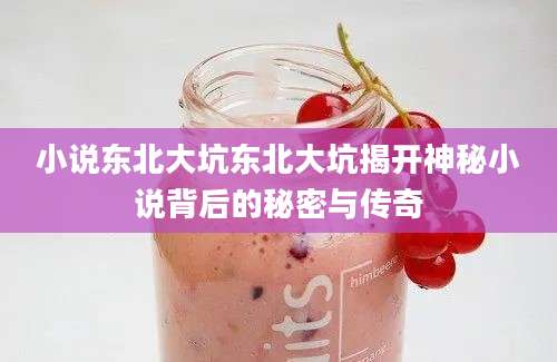 小说东北大坑东北大坑揭开神秘小说背后的秘密与传奇