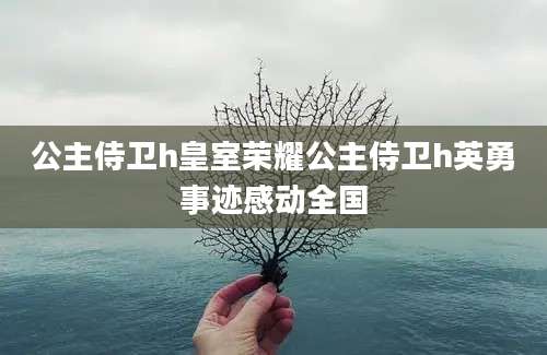 公主侍卫h皇室荣耀公主侍卫h英勇事迹感动全国
