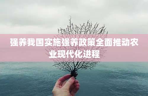 强养我国实施强养政策全面推动农业现代化进程