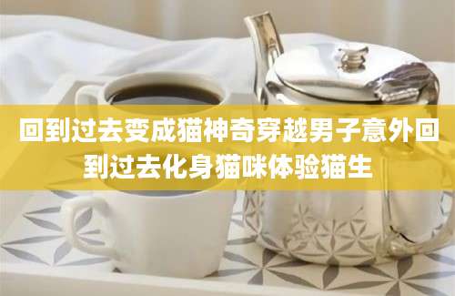 回到过去变成猫神奇穿越男子意外回到过去化身猫咪体验猫生
