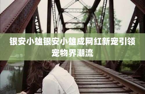 银安小雄银安小雄成网红新宠引领宠物界潮流