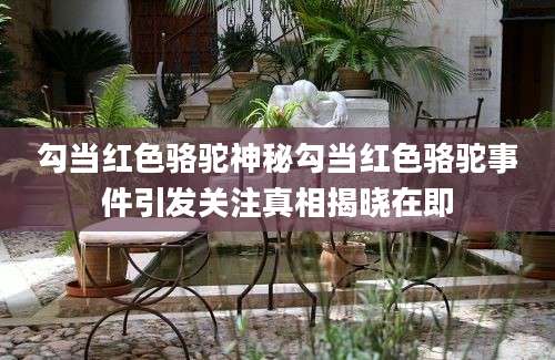 勾当红色骆驼神秘勾当红色骆驼事件引发关注真相揭晓在即