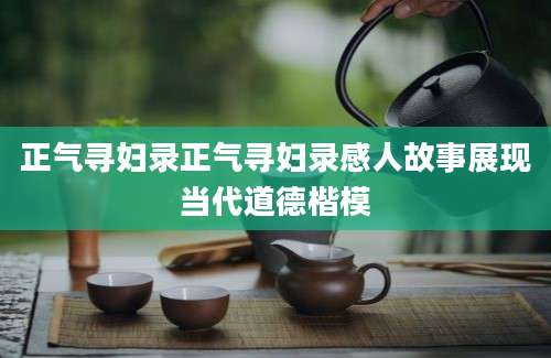 正气寻妇录正气寻妇录感人故事展现当代道德楷模