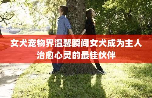 女犬宠物界温馨瞬间女犬成为主人治愈心灵的最佳伙伴