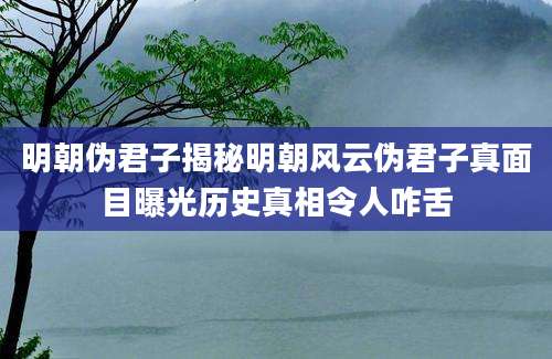 明朝伪君子揭秘明朝风云伪君子真面目曝光历史真相令人咋舌