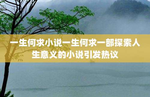 一生何求小说一生何求一部探索人生意义的小说引发热议