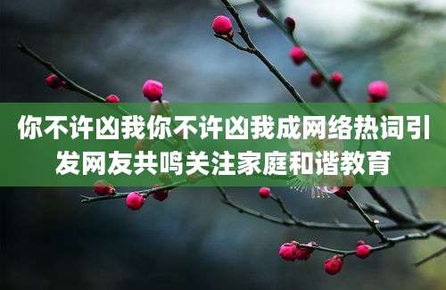 你不许凶我你不许凶我成网络热词引发网友共鸣关注家庭和谐教育