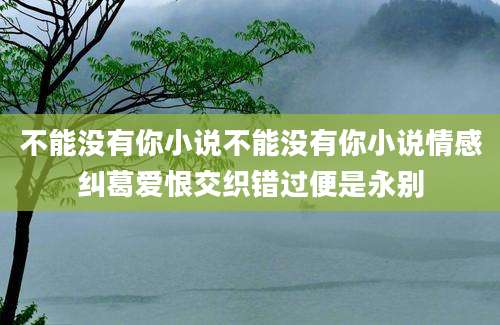 不能没有你小说不能没有你小说情感纠葛爱恨交织错过便是永别