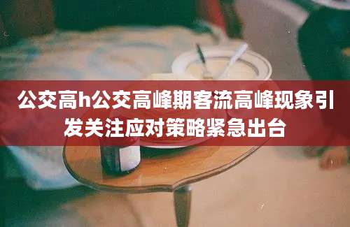 公交高h公交高峰期客流高峰现象引发关注应对策略紧急出台