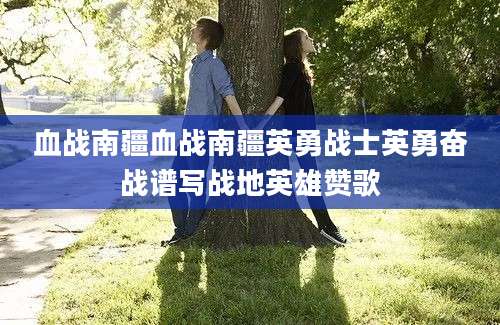 血战南疆血战南疆英勇战士英勇奋战谱写战地英雄赞歌