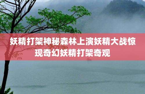 妖精打架神秘森林上演妖精大战惊现奇幻妖精打架奇观