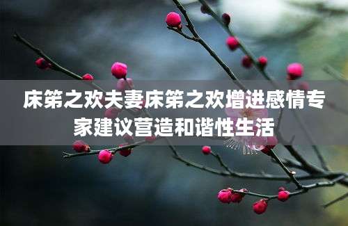 床笫之欢夫妻床笫之欢增进感情专家建议营造和谐性生活