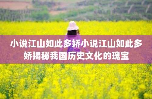 小说江山如此多娇小说江山如此多娇揭秘我国历史文化的瑰宝