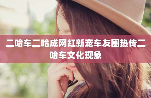 二哈车二哈成网红新宠车友圈热传二哈车文化现象