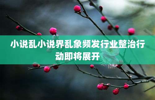 小说乱小说界乱象频发行业整治行动即将展开