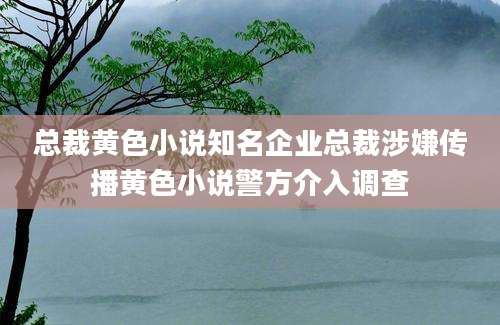 总裁黄色小说知名企业总裁涉嫌传播黄色小说警方介入调查