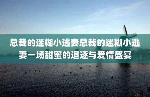 总裁的迷糊小逃妻总裁的迷糊小逃妻一场甜蜜的追逐与爱情盛宴