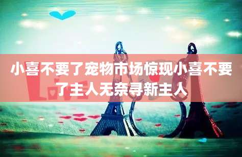 小喜不要了宠物市场惊现小喜不要了主人无奈寻新主人
