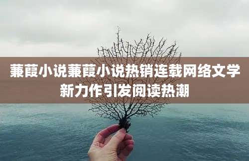 蒹葭小说蒹葭小说热销连载网络文学新力作引发阅读热潮