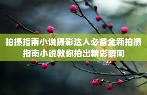 拍摄指南小说摄影达人必备全新拍摄指南小说教你拍出精彩瞬间