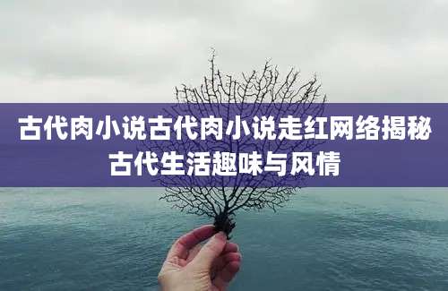 古代肉小说古代肉小说走红网络揭秘古代生活趣味与风情