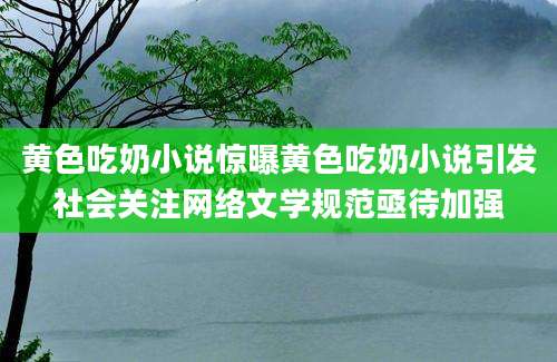 黄色吃奶小说惊曝黄色吃奶小说引发社会关注网络文学规范亟待加强