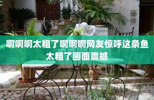 啊啊啊太粗了啊啊啊网友惊呼这条鱼太粗了画面震撼