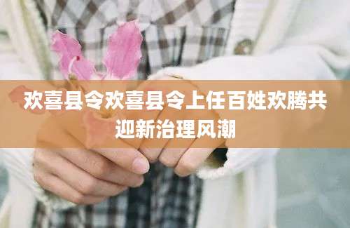 欢喜县令欢喜县令上任百姓欢腾共迎新治理风潮