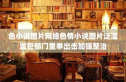 色小说图片网络色情小说图片泛滥监管部门重拳出击加强整治