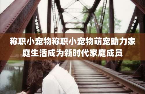 称职小宠物称职小宠物萌宠助力家庭生活成为新时代家庭成员