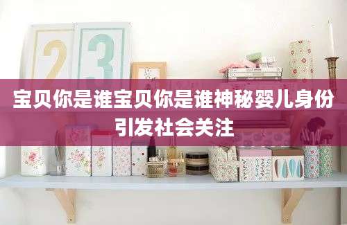 宝贝你是谁宝贝你是谁神秘婴儿身份引发社会关注