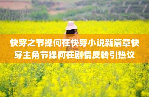 快穿之节操何在快穿小说新篇章快穿主角节操何在剧情反转引热议
