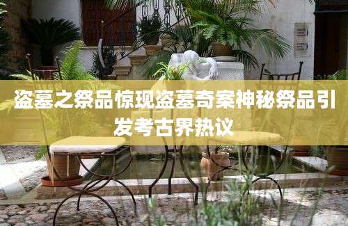 盗墓之祭品惊现盗墓奇案神秘祭品引发考古界热议