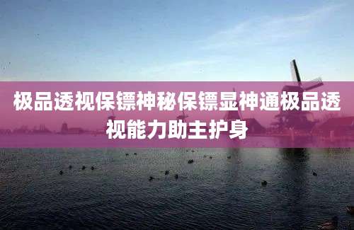 极品透视保镖神秘保镖显神通极品透视能力助主护身