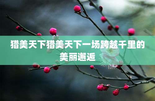 猎美天下猎美天下一场跨越千里的美丽邂逅