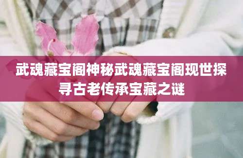 武魂藏宝阁神秘武魂藏宝阁现世探寻古老传承宝藏之谜