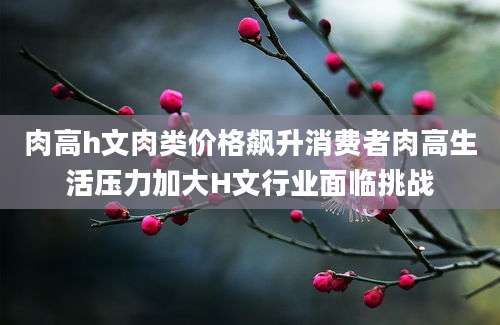 肉高h文肉类价格飙升消费者肉高生活压力加大H文行业面临挑战