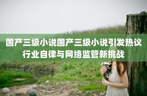 国产三级小说国产三级小说引发热议行业自律与网络监管新挑战